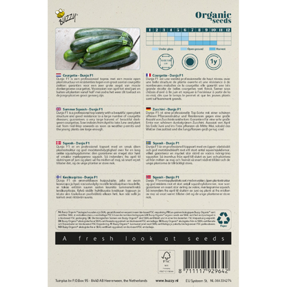 Buzzy® Organic Summer Squash Dunja F1 (BIO)