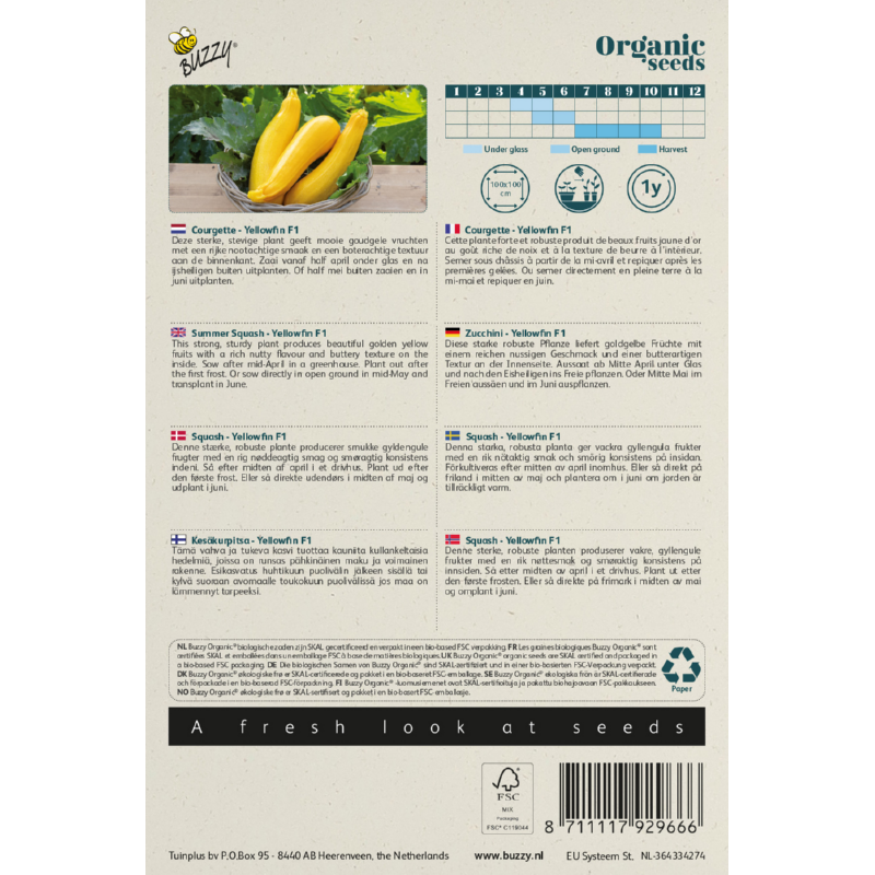 Buzzy® Organic Summer Squash Yellowfin F1 (BIO)