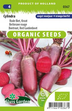 Beetroot red Gardenbeet (Cylindra)