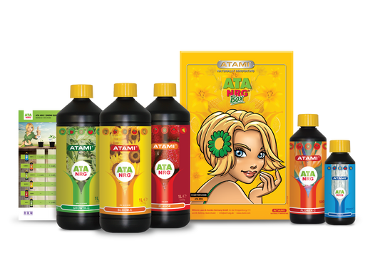 Box ATA NRG