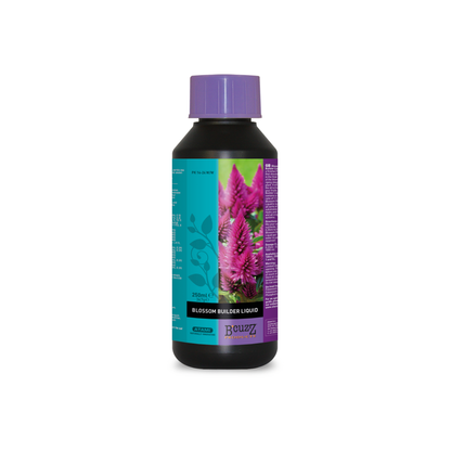 1 L B'cuzz Blossom Builder Liquid