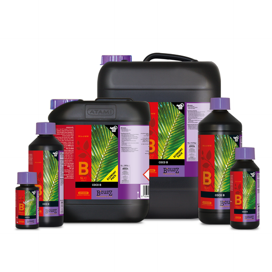 1 L B'cuzz Coco Nutrition B