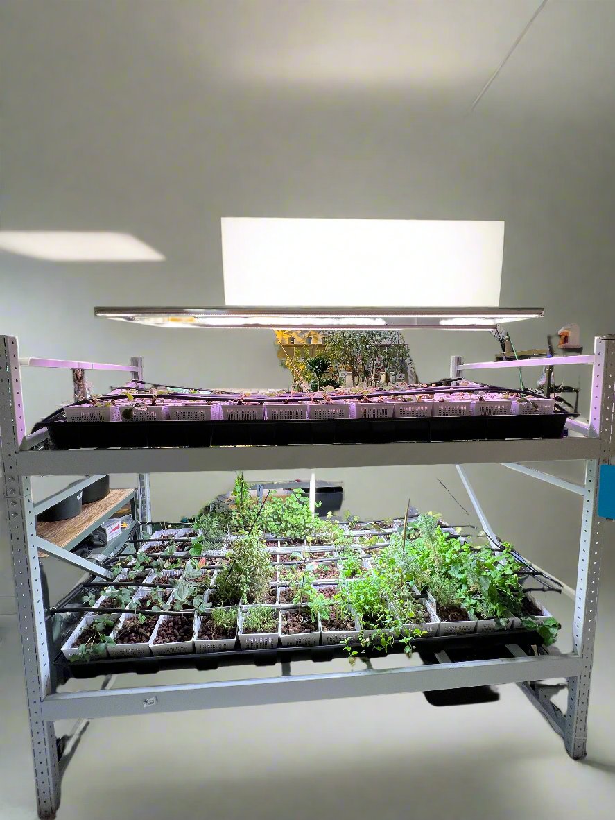 system 100 cm * 200 cm * 200 cm سستتم ١٠٠ * ٢٠٠ * ٢٠٠ سم دورين نظام زراعة مائية hydroponic system