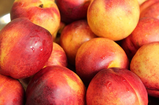 خوخ نكترين احمر Dwergnectarine