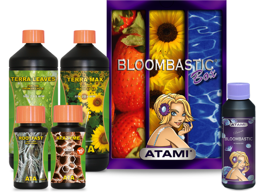 Box Bloombastic ATA/Terra