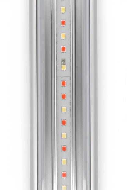 The Flex-Eco F14 series 2m اضاءة