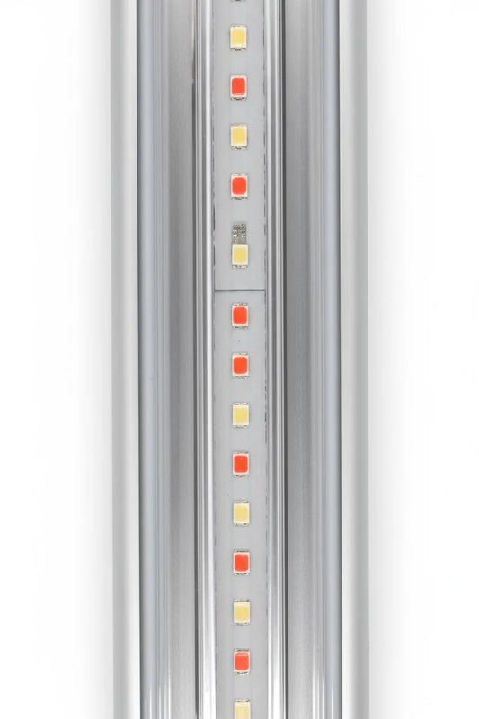 The Flex-Eco F14 series 2m اضاءة