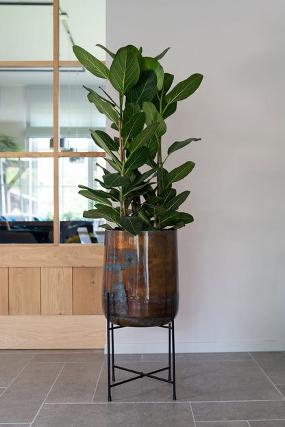 Pot on foot Jolien mystic blue