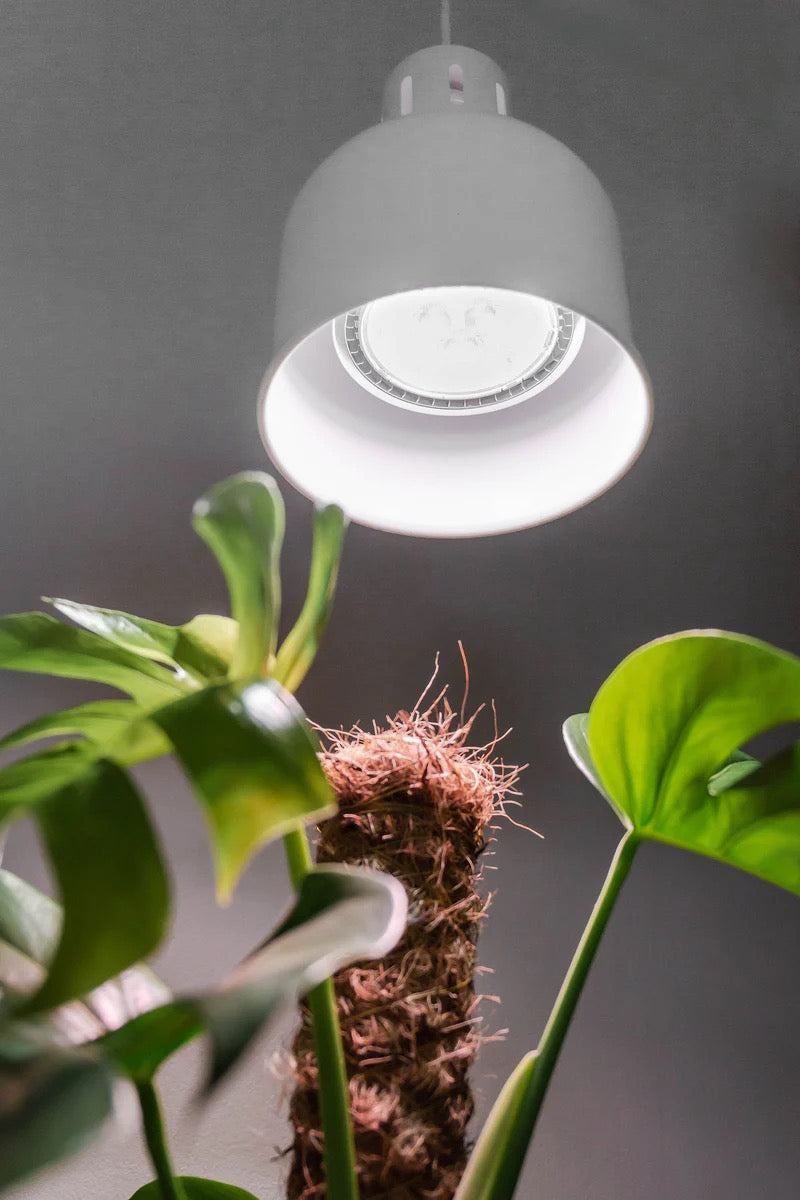 E27 plant lamp "Indoor Plants" - LED plant lamp