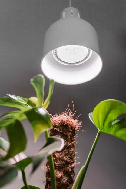 E27 plant lamp "Indoor Plants" - LED plant lamp