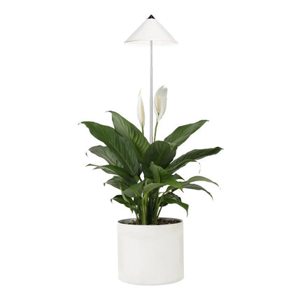 light  SUNLiTE 7W - LED plant lamp parus