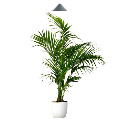 light SUN light XL 25 Watt - LED plant lamp