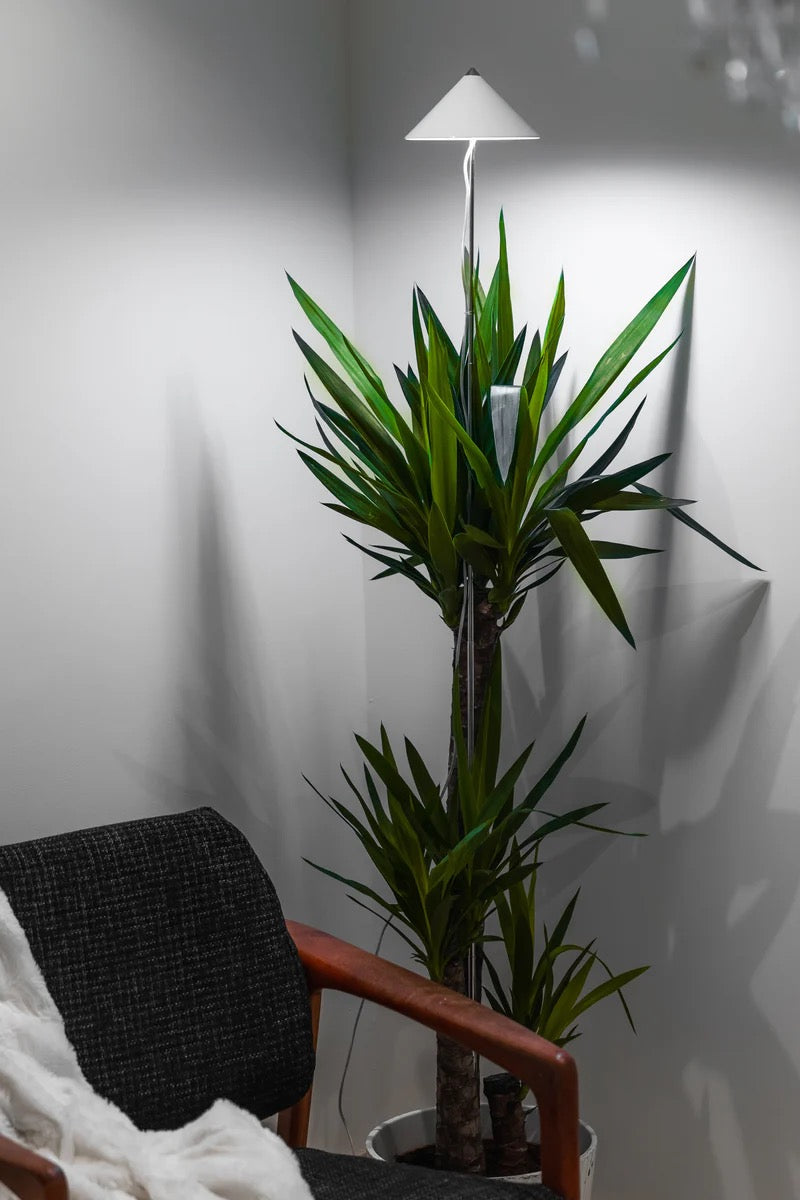 light SUN light XL 25 Watt - LED plant lamp