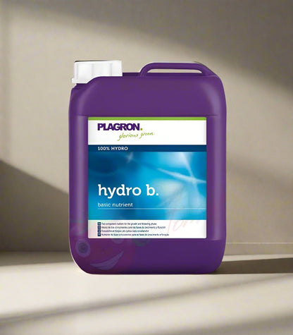 Plagron hydro A&B 5L