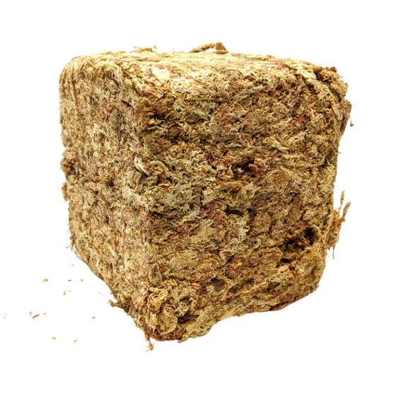 sphagnum moss 5kg