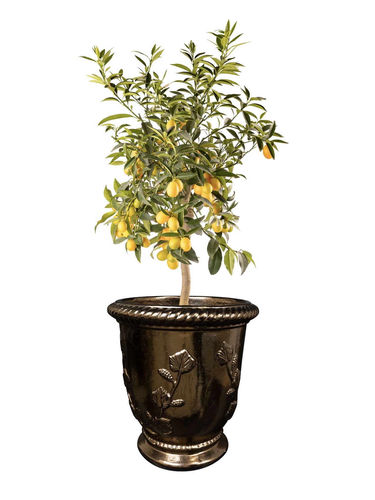 Vase Novell gold D30 H33