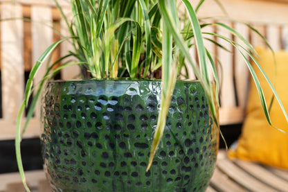 Pot Thom forest D54 H44