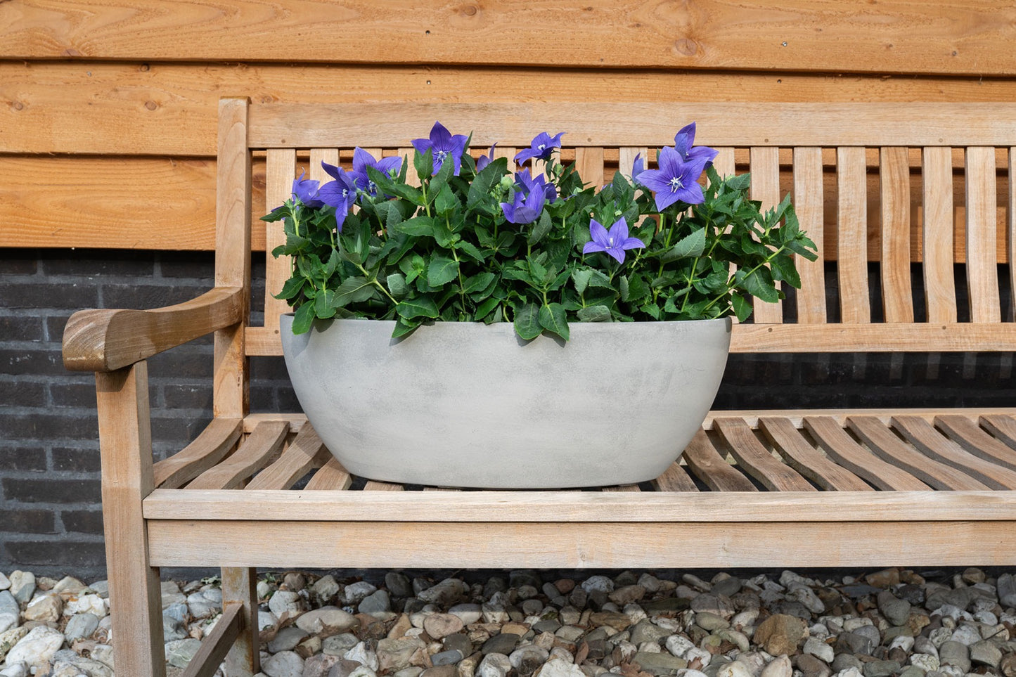 Planter Naomi concrete D55x25 H20