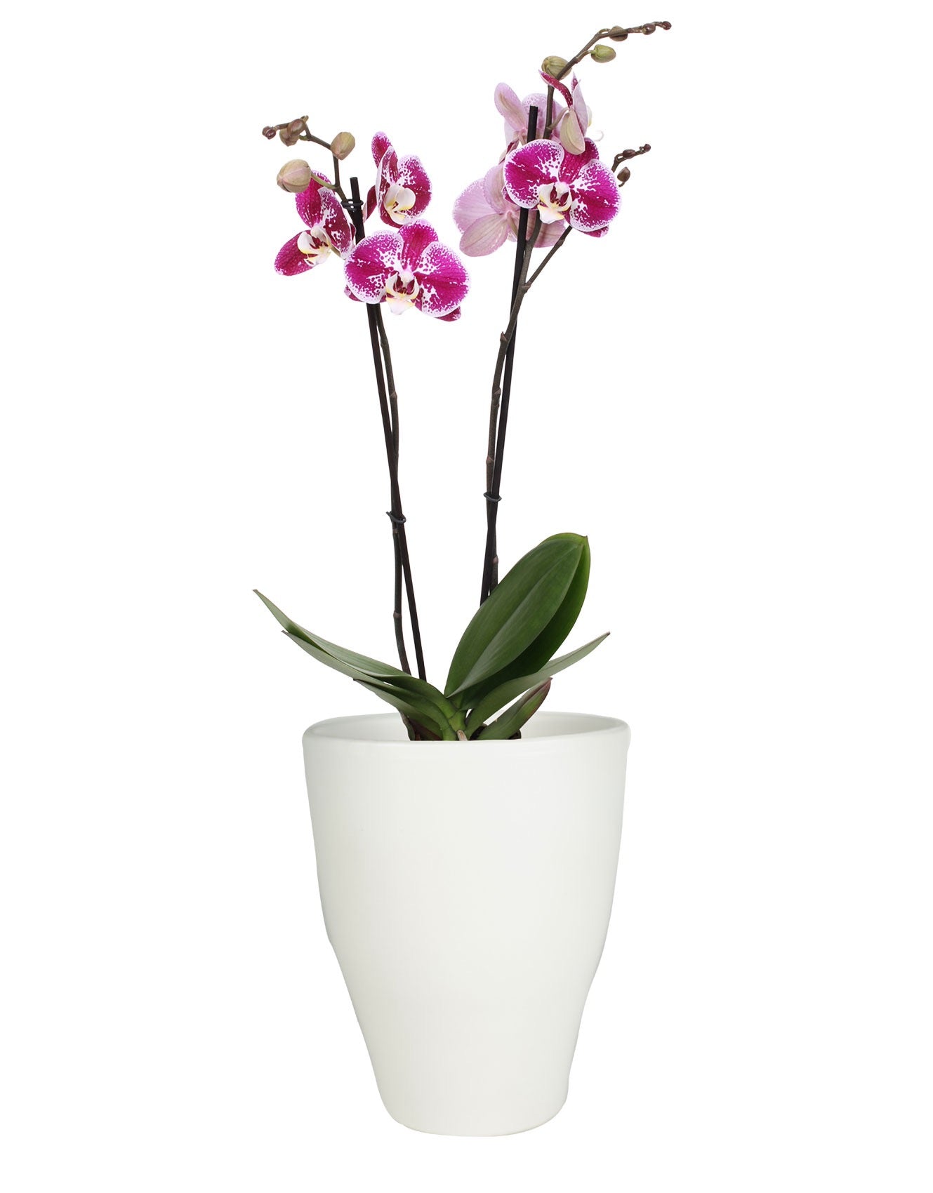 Pot tall Sven white D14 H17