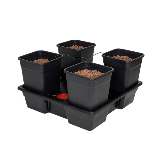 wilma 4 Xl hydroponic system