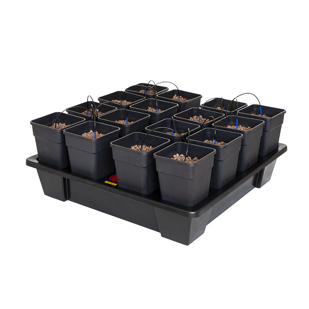 Kitbox - Sistema Wilma XXL 16 سستم زراعي