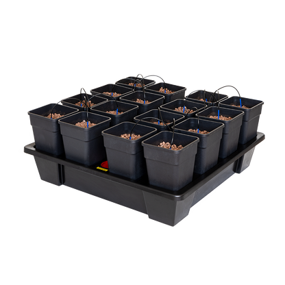 Kitbox - Sistema Wilma XXL 16 سستم زراعي