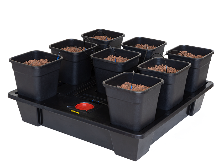 Kitbox - Sistema Wilma XXL 8 سستم زراعة مائية ٨ احواض