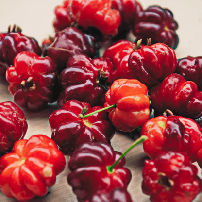 Pitanga كرز التفاحي