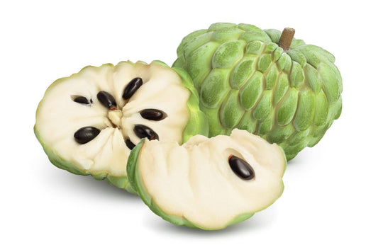 Chirimoyo قشطة ارتفاع ٢ متر واكثر