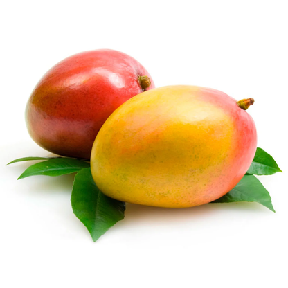 Kent Mango منجا