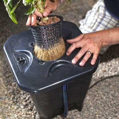 Nutriculture NEW Oxypot