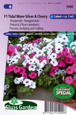 Petunia F1 Title Wave Silver&Cherry