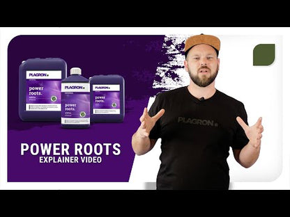 Power roots 100ml