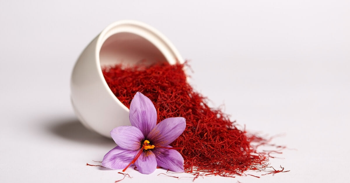 100 بصيلة Crocus   زعفران